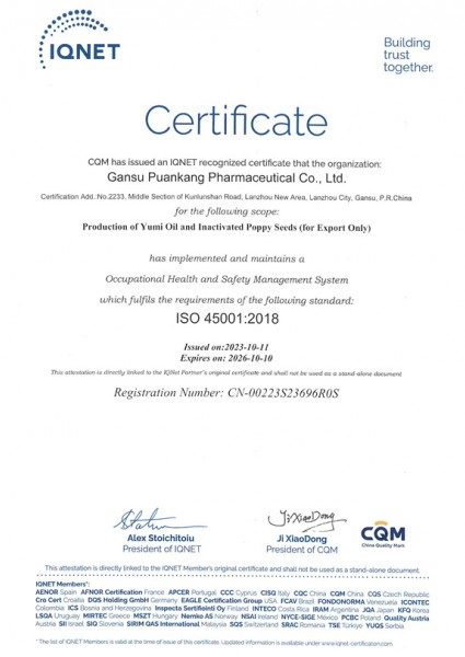 IQNET Certificate